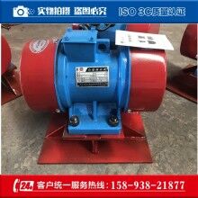 標(biāo)準(zhǔn)LZF-6倉壁振動器