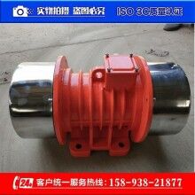 MVE-60-4三相異步振動(dòng)電機(jī) BZF-15倉(cāng)壁振動(dòng)器