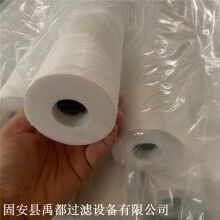 深度式過(guò)濾分離濾芯 聚酯纖維天然氣濾芯