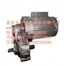 EDM系列感應(yīng)電機