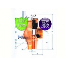 SVPF-B2L臺(tái)灣317安全閥