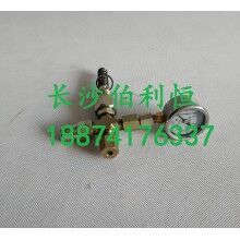 批發(fā)原裝正品攪拌機(jī)配件，三一JX3000潤滑油泵芯