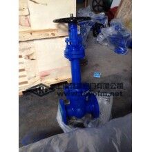 德標(biāo)波紋管閘閥