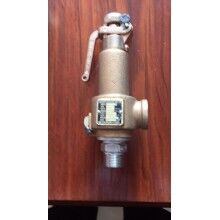 韓國朝光JSV-HT41高揚(yáng)程式蒸氣安全閥